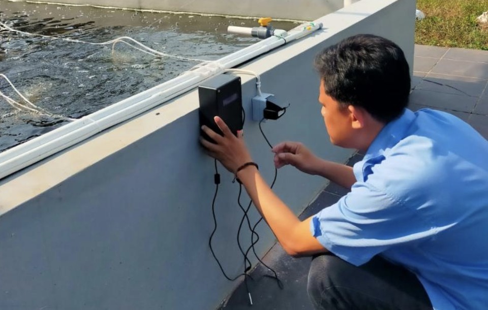 Magang Guru Berbasis Teknologi, Guru SMK Buat Sistem IoT Budi Daya Ikan Nila