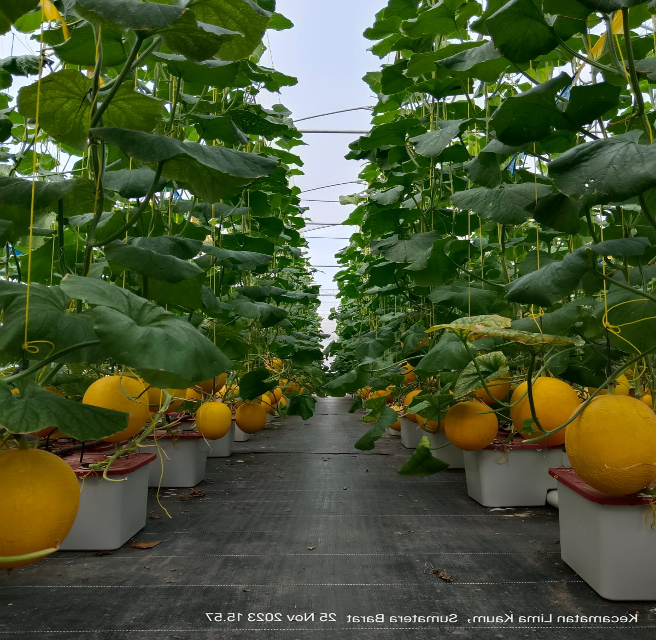 Standard Post with Image