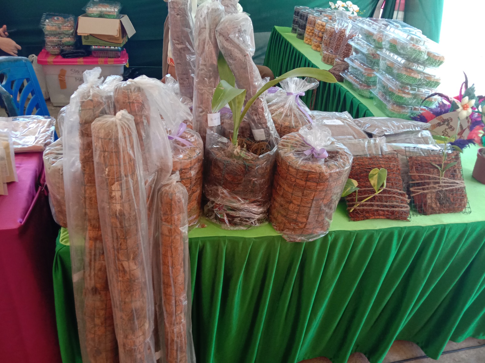 Manfaatkan Sabut Kelapa, SMKN 3 Manokwari Produksi Media Tanam Anggrek